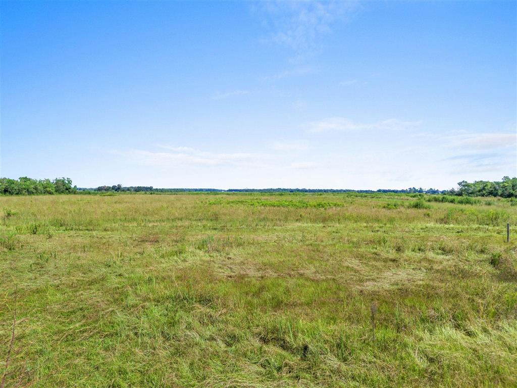 20160 Pine Hill Cemetery Road Iowa, LA 70647 - Photo 4 of 7