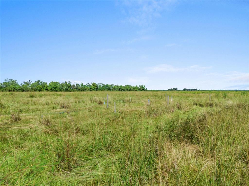 20160 Pine Hill Cemetery Road Iowa, LA 70647 - Photo 6 of 7