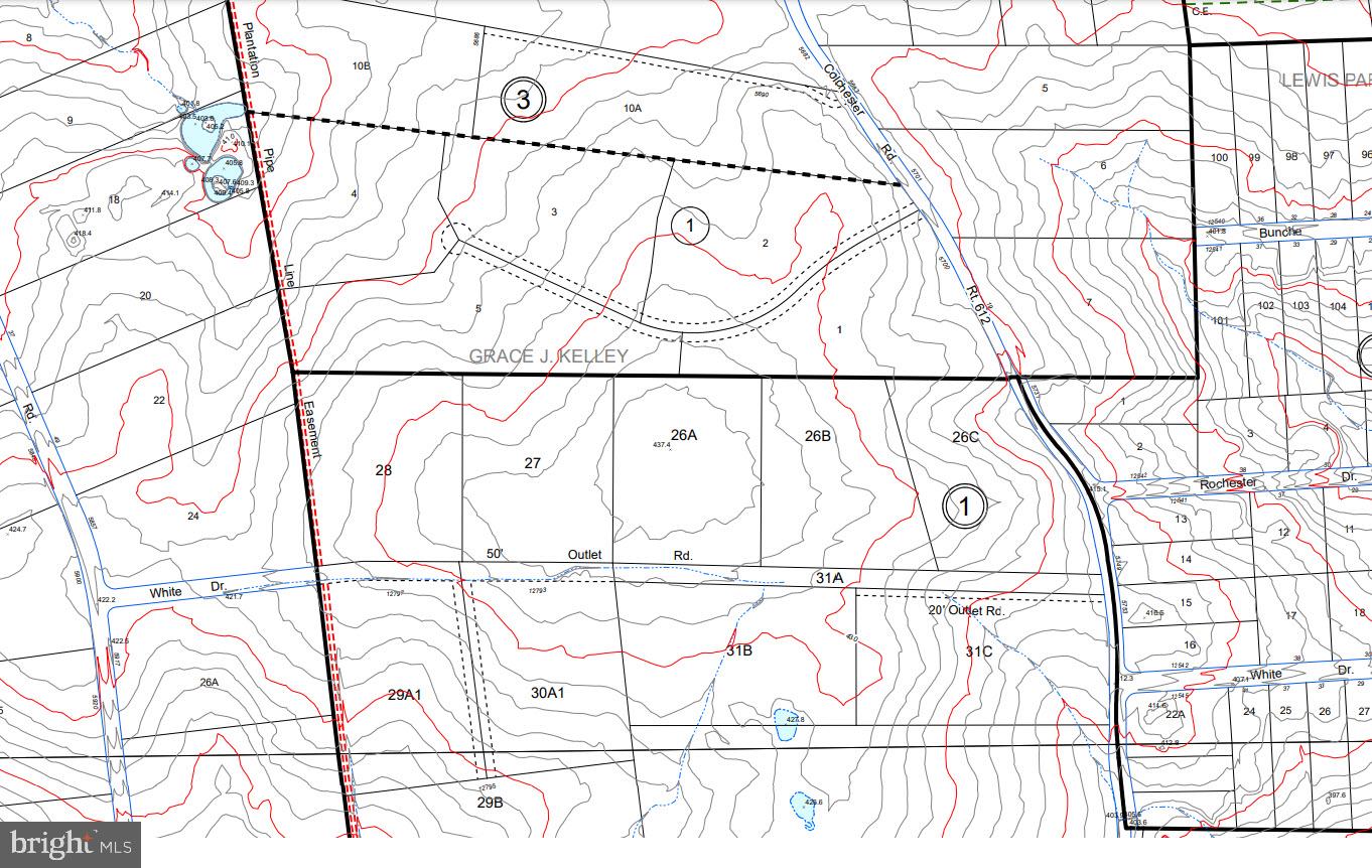 Lot 26 Colchester Road Clifton, VA 20124 - Photo 3 of 6 Center of the lot is very flat
