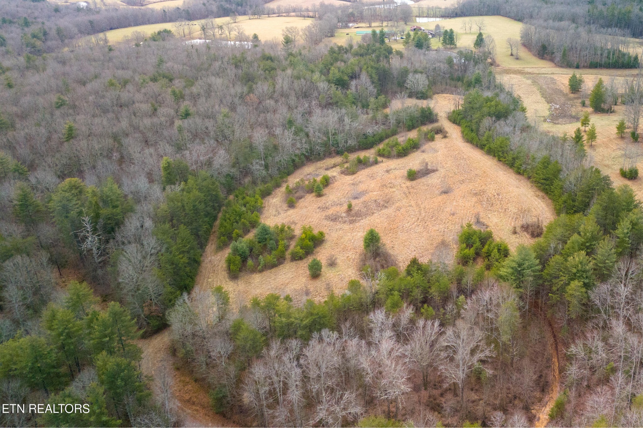 1567 Twin Bridge Road Deer Lodge, TN 37726 - Photo 17 of 26 Gallery Image 17