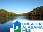 259 County Line Road Trafford, AL 35172 - Photo 1 of 1
