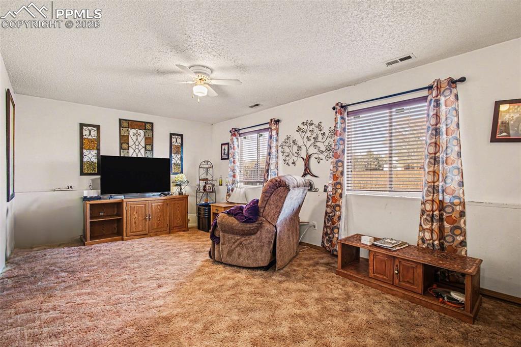 921 Candlestar Loop North Fountain, CO 80817 - Photo 11 of 23 a living room with furniture and a flat screen tv