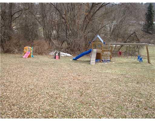 20 Porters Hollow Road Coraopolis, PA 15108 - Photo 14 of 14 Yard/Garden.