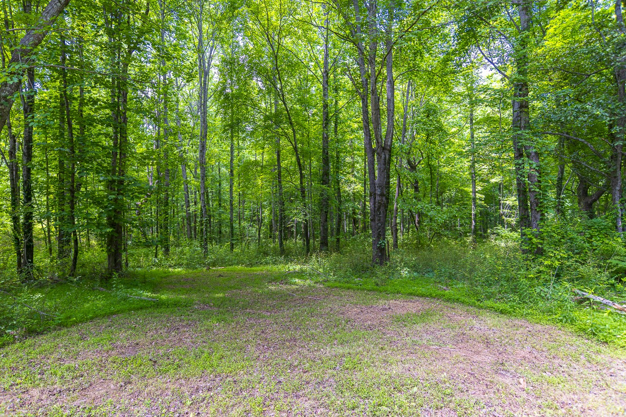 23 Grassy Branch Road Flintville, TN 37335 - Photo 9 of 24 a view of a trees with a backyard