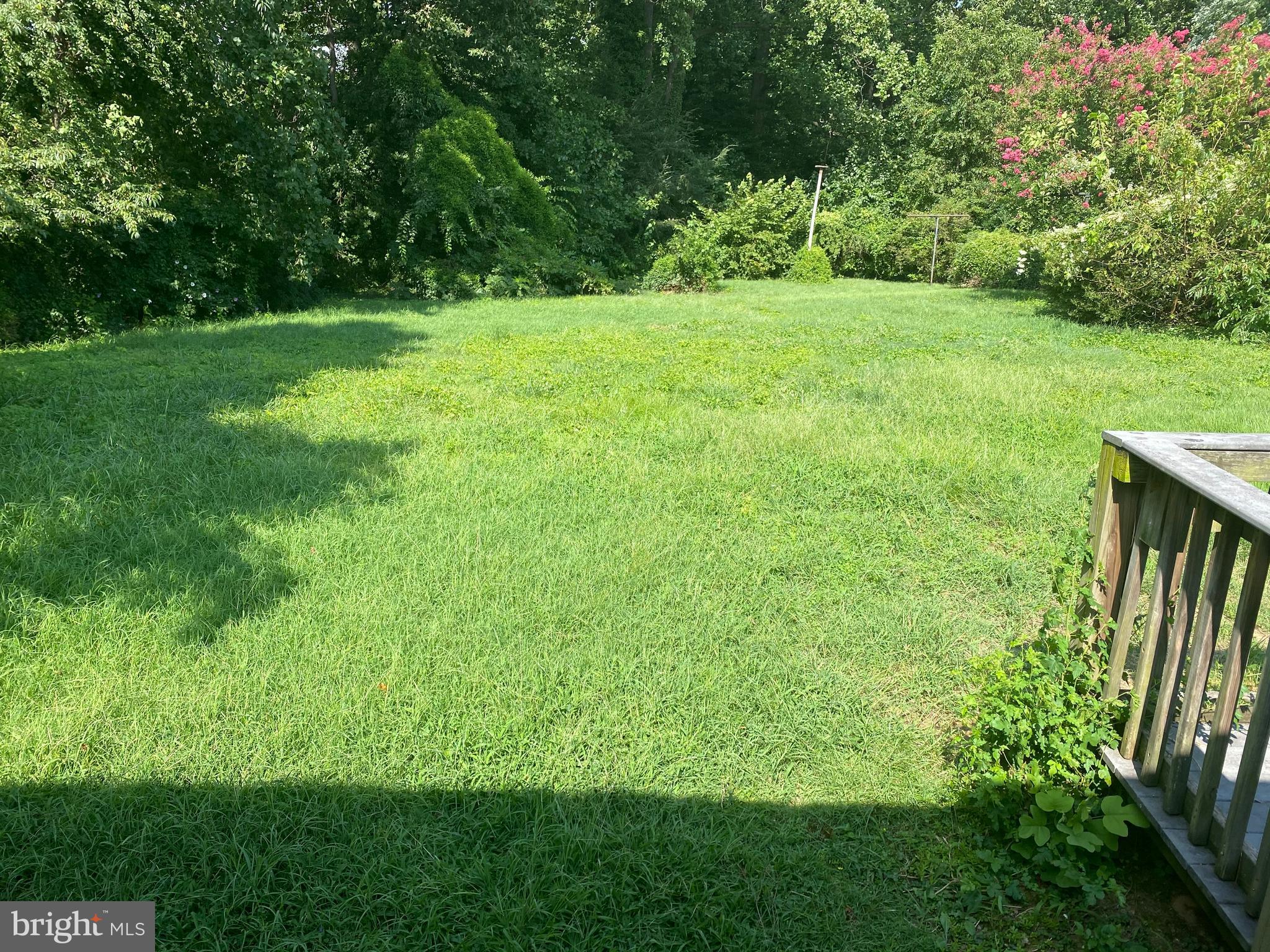 8527 Creek Road Pasadena, MD 21122 - Photo 16 of 18 yard