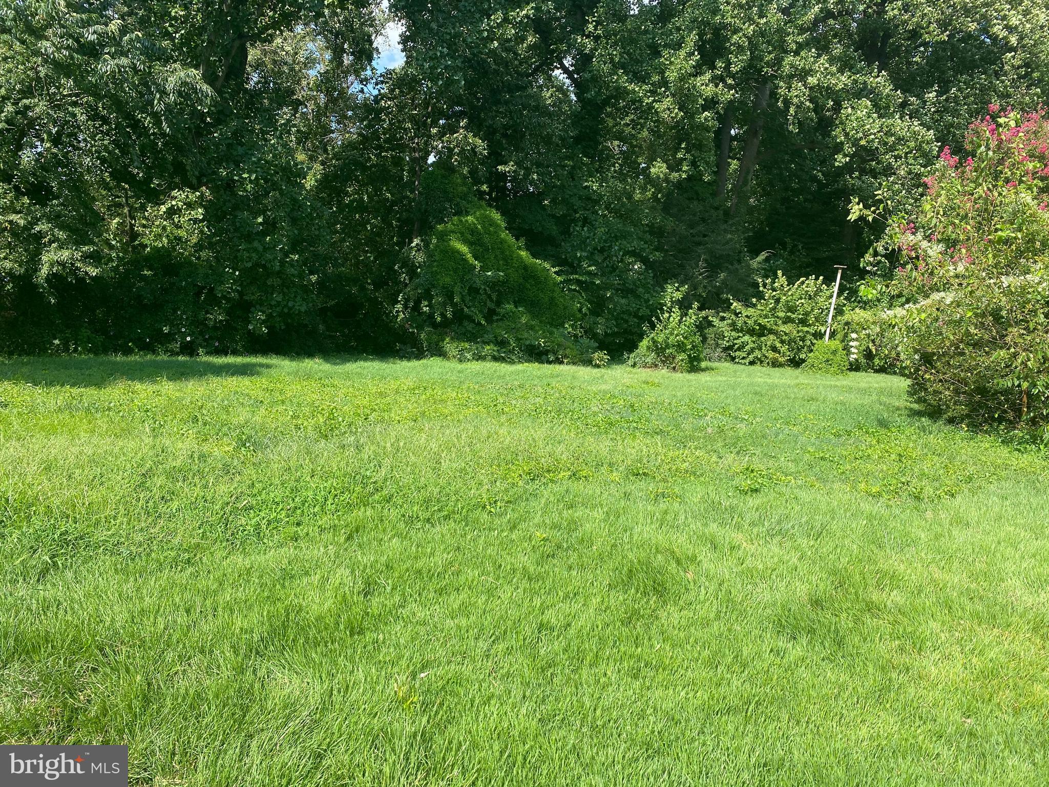 8527 Creek Road Pasadena, MD 21122 - Photo 17 of 18 yead