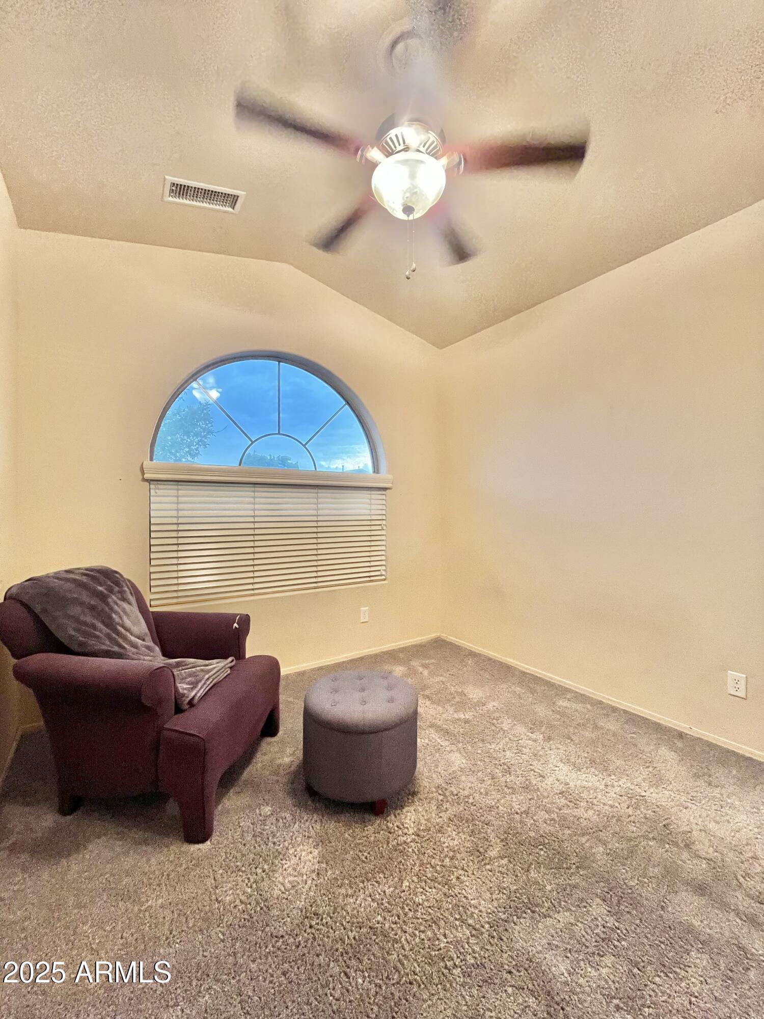 867 South Del Rio Court Apache Junction, AZ 85119 - Photo 19 of 37 25