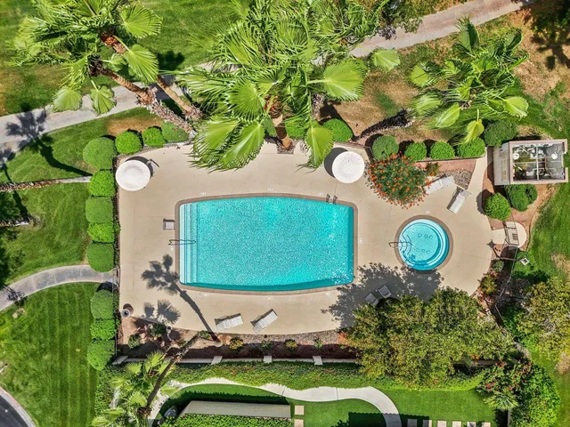 a picture of a tree in a yard