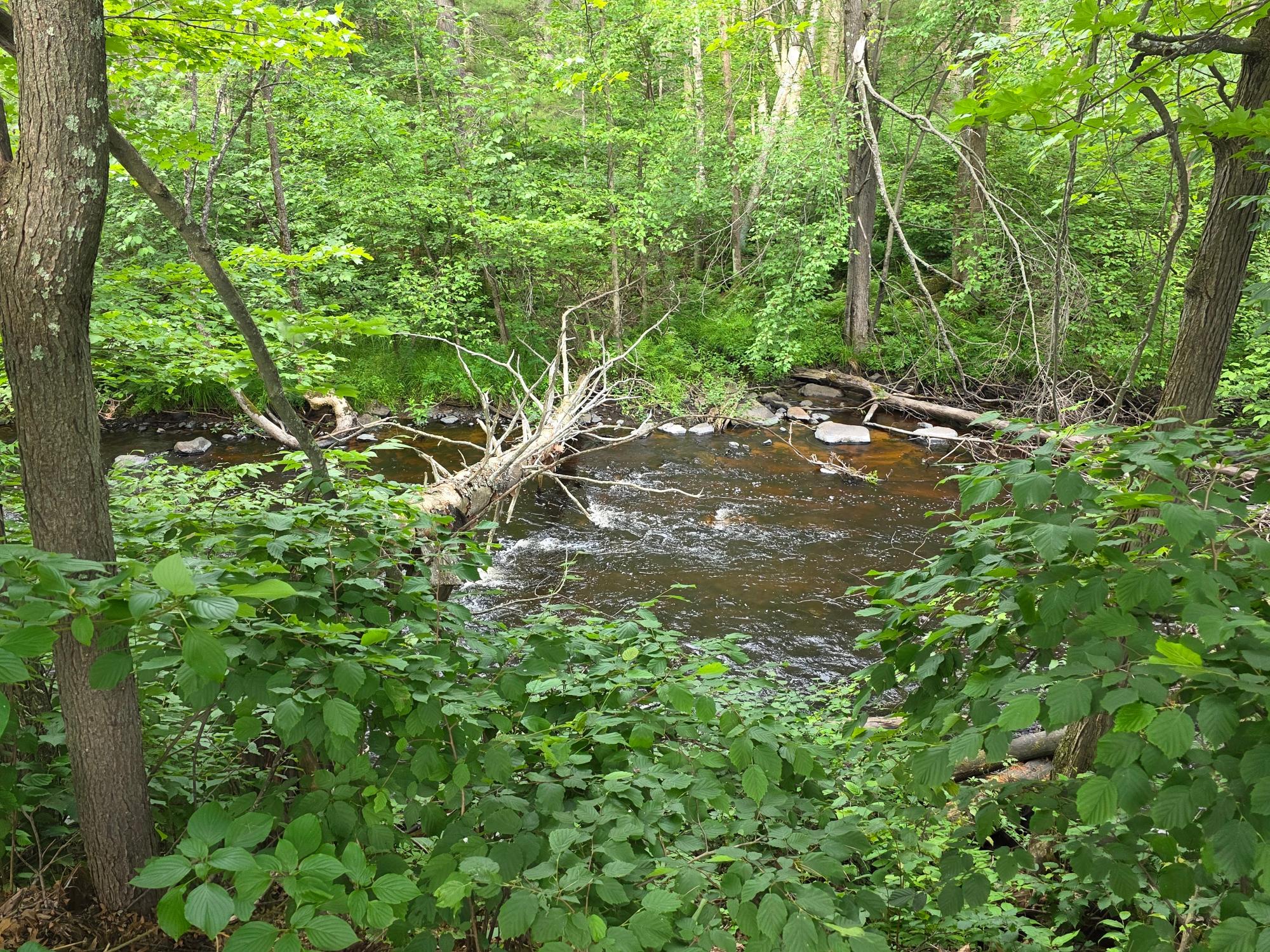 2066 Hidden Waters Road Tomahawk, WI 54487 - Photo 3 of 71 Gallery Image 3
