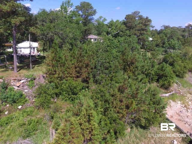12247 Raynell Avenue Coden, AL 36523 - Photo 2 of 5