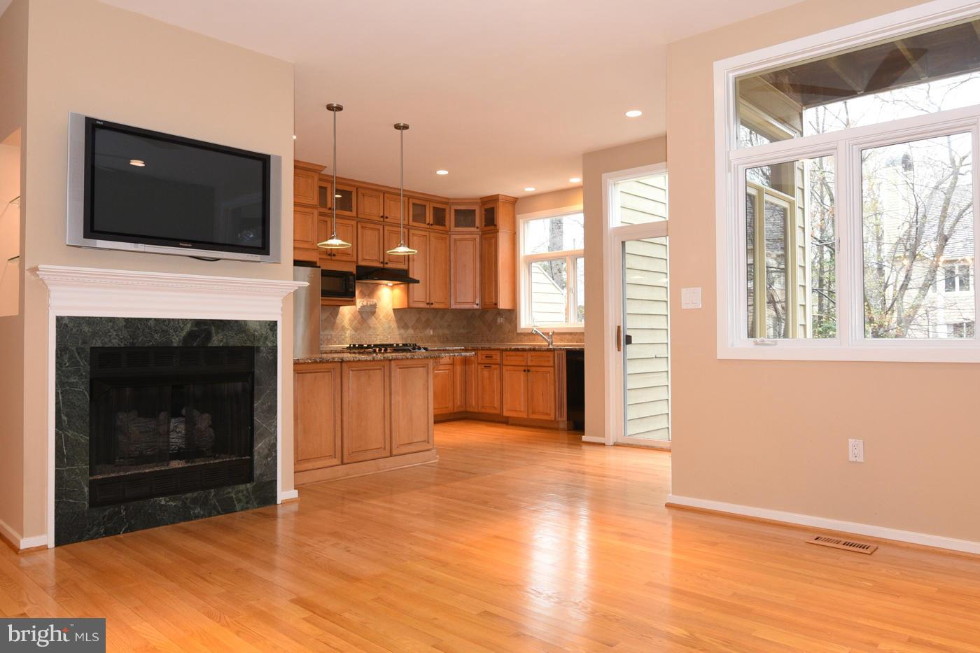11516 Hemingway Drive Reston, VA 20194 - Photo 6 of 30 Gas fireplace (TV conveys)