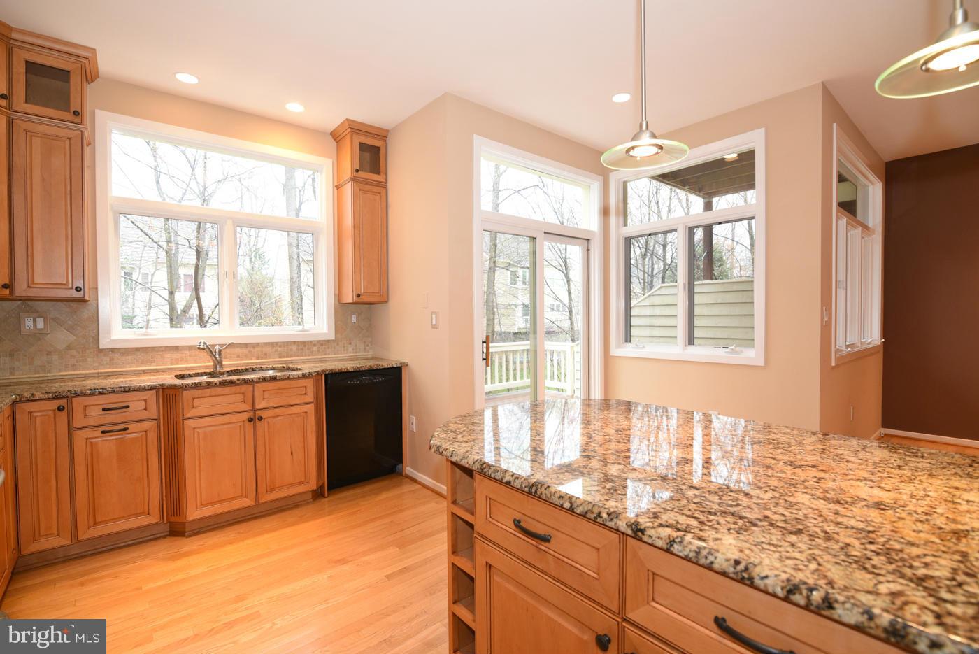 11516 Hemingway Drive Reston, VA 20194 - Photo 9 of 30 wooded views