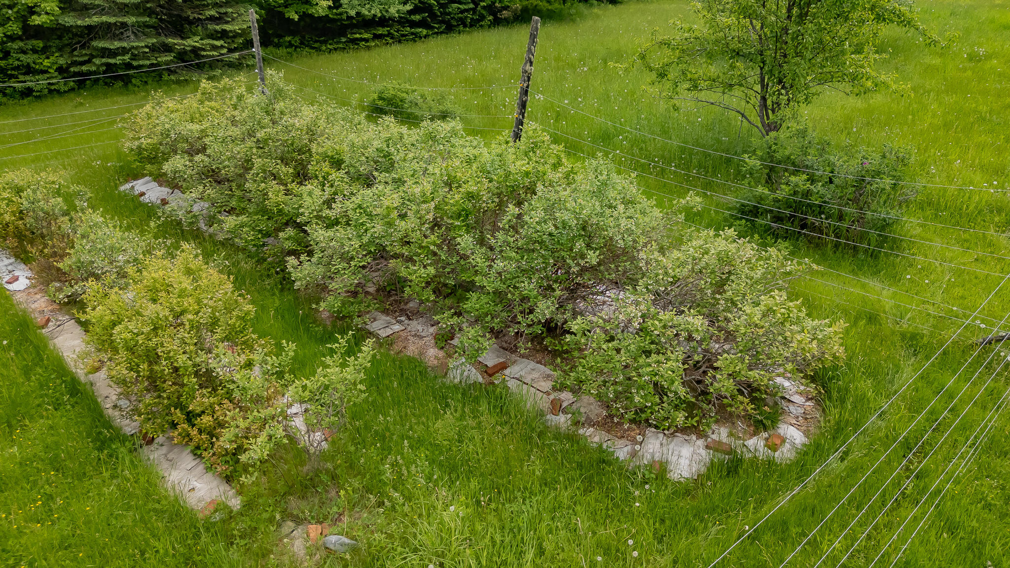 394 Frenchs Mill Road Sangerville, ME 04479 - Photo 77 of 105
