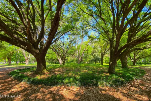 $680,000 | 16487 Highway 3, Yazoo City, MS 39194