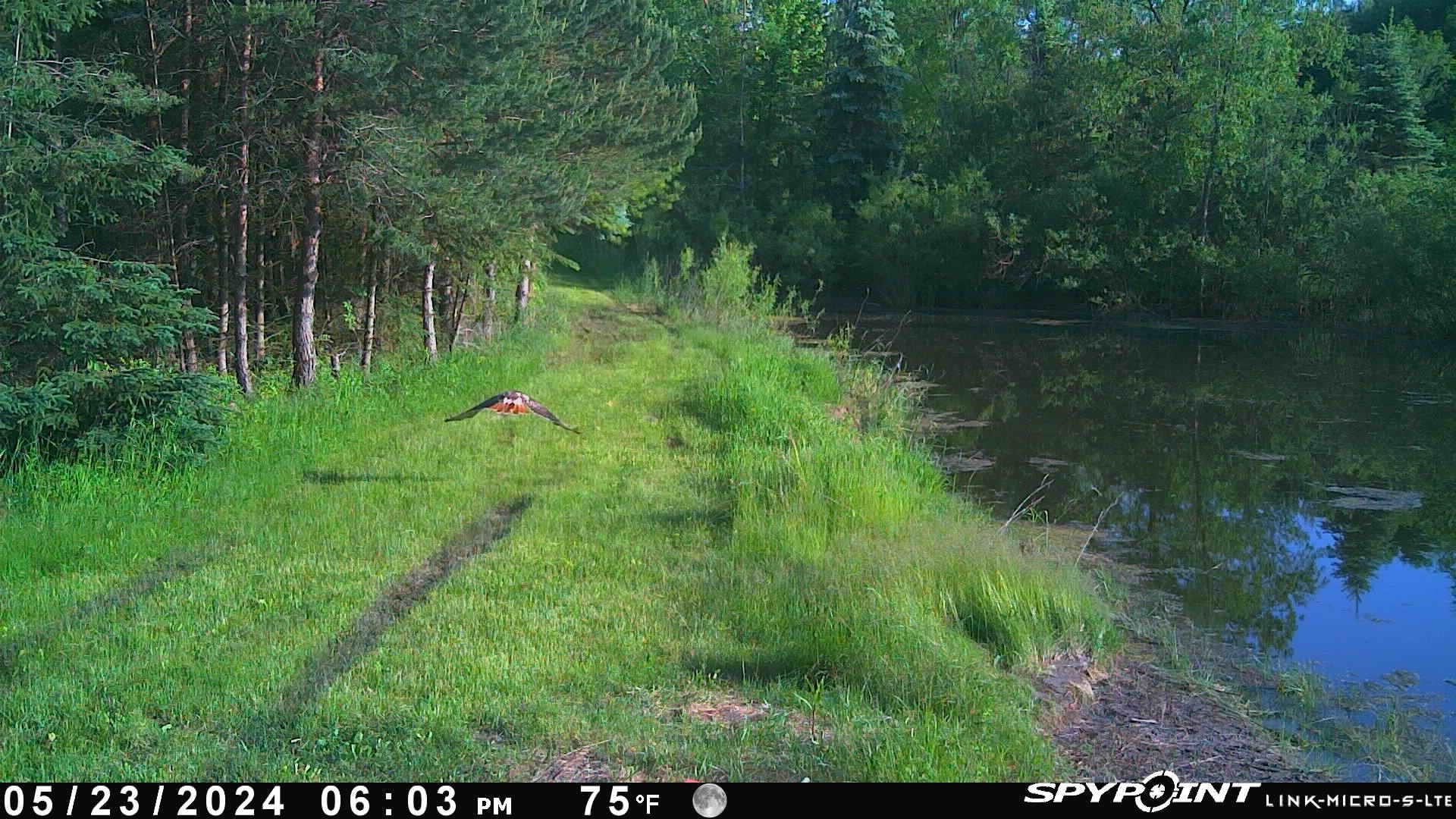 0 Burr Oak Road Capron, IL 61012 - Photo 70 of 87 Gallery Image 70