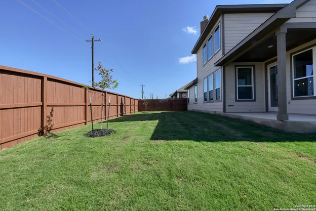 a view of a backyard with potted plants