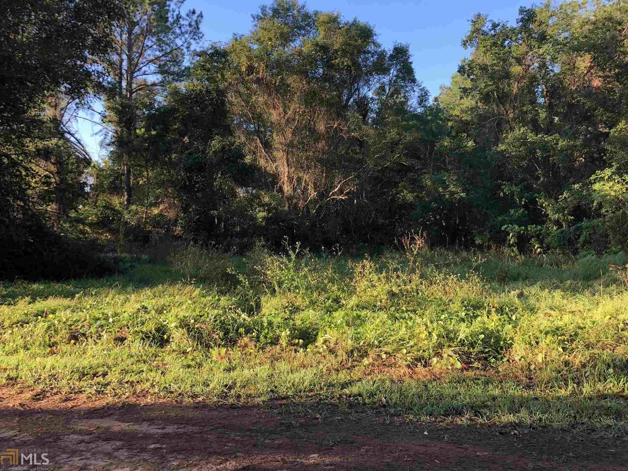 0 Hendricks Trail Callahan, FL 32011 - Photo 1 of 1 a view of a garden