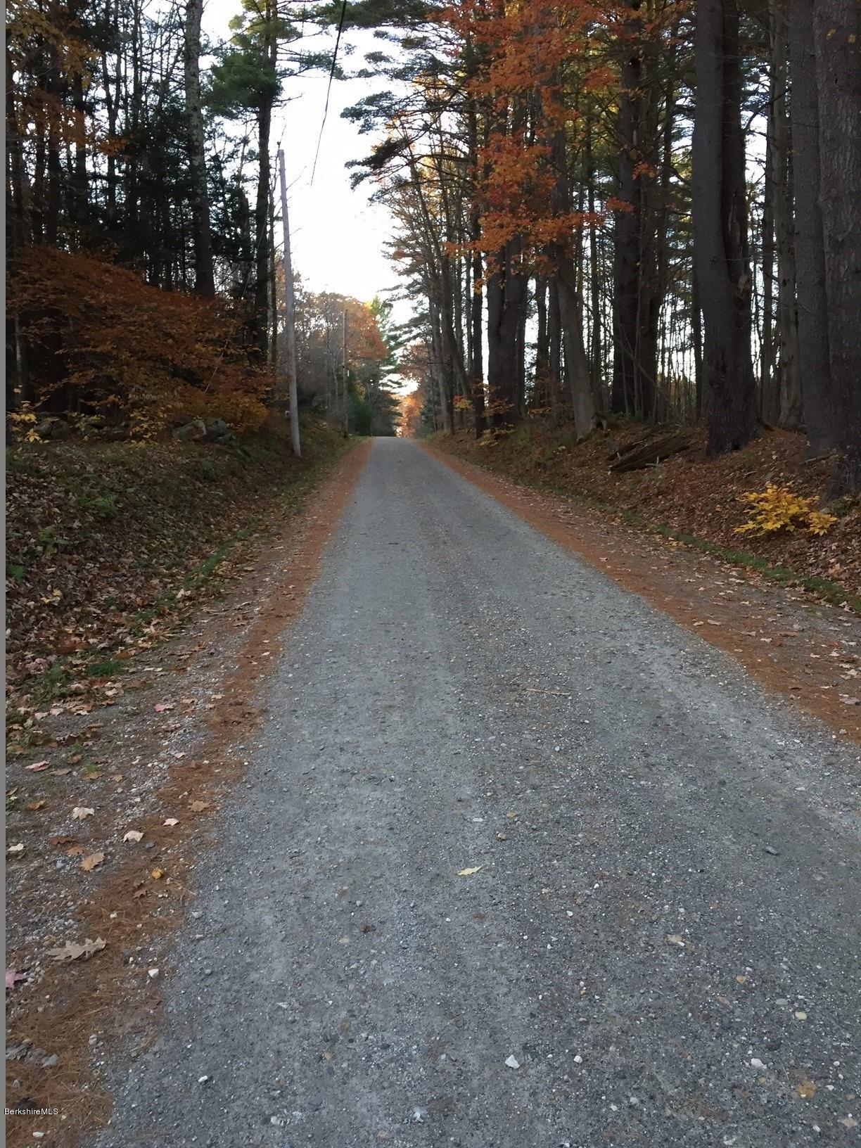 Main Road Monterey, MA 01245 - Photo 2 of 8 a view of a yard with trees
