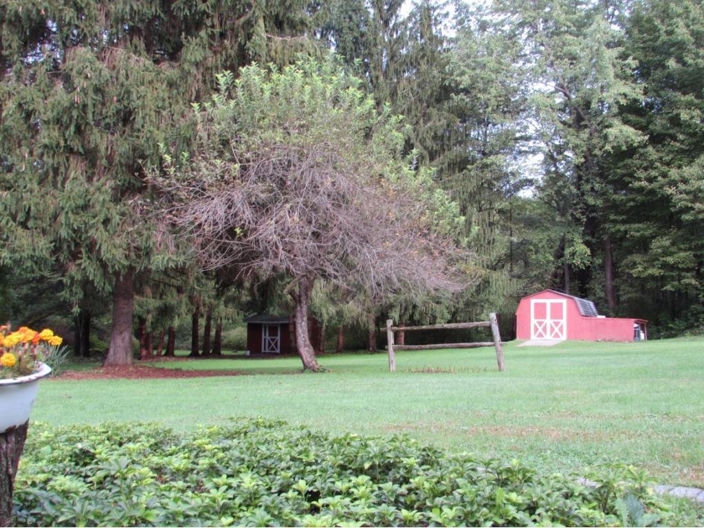 468 Cafferty Hill Road Endicott, NY 13760 - Photo 5 of 25 Gallery Image 5