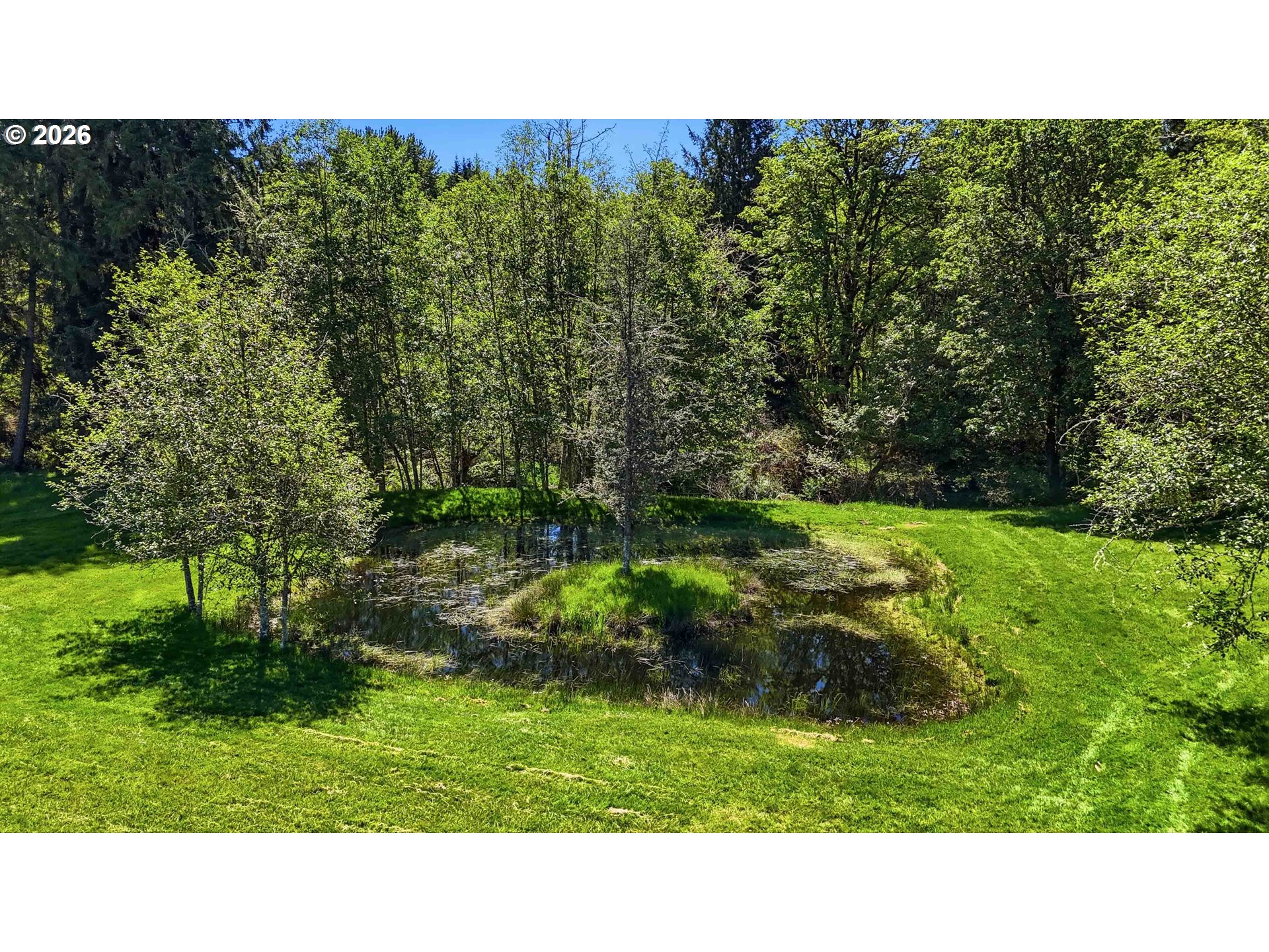 359 Frank Smith Road Toutle, WA 98649 - Photo 29 of 44 a open area with green field