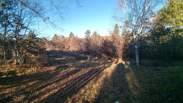 $649,000 | 50164 County 29, Bemidji, MN 56601