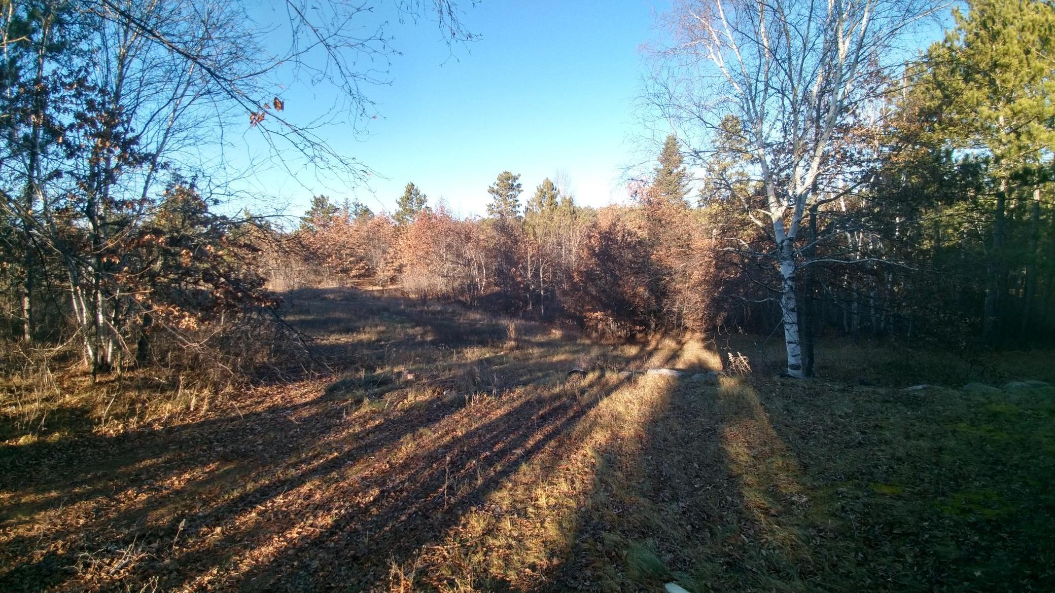 50164 County 29 Bemidji, MN 56601 - Photo 57 of 64