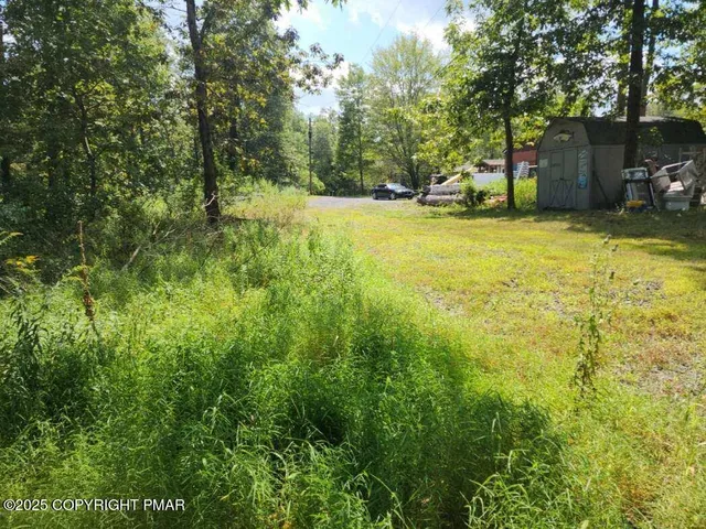 a view of a yard with a trees