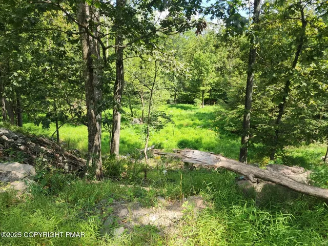 a view of yard with green space