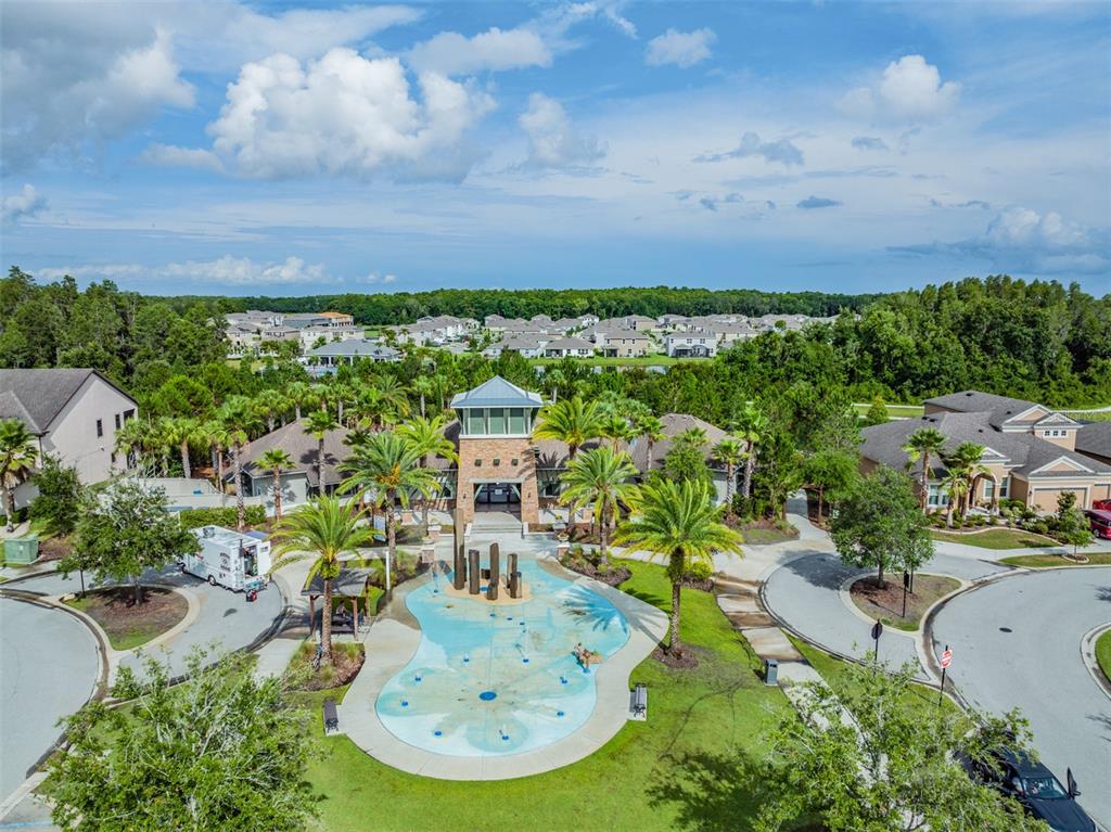 32401 Natural Bridge Road Wesley Chapel, FL 33543 - Photo 41 of 53