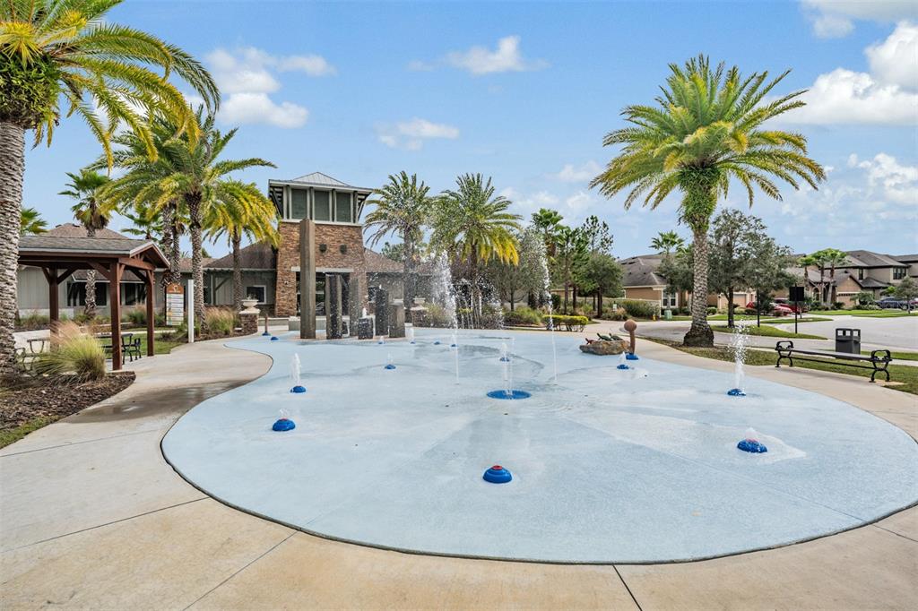 32401 Natural Bridge Road Wesley Chapel, FL 33543 - Photo 49 of 53