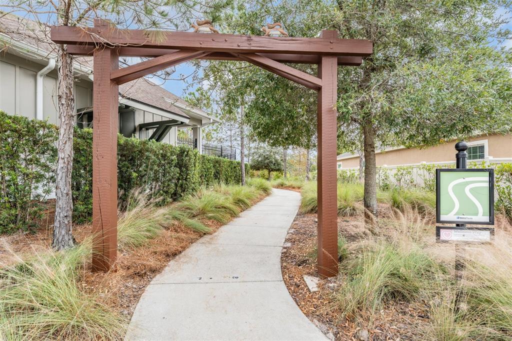 32401 Natural Bridge Road Wesley Chapel, FL 33543 - Photo 50 of 53