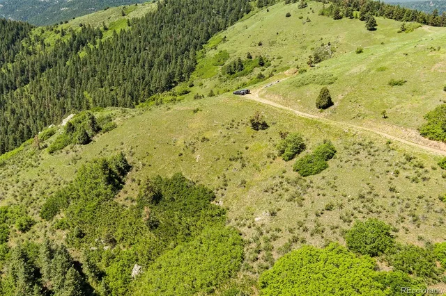 a view of a lush green field with mountains in the background