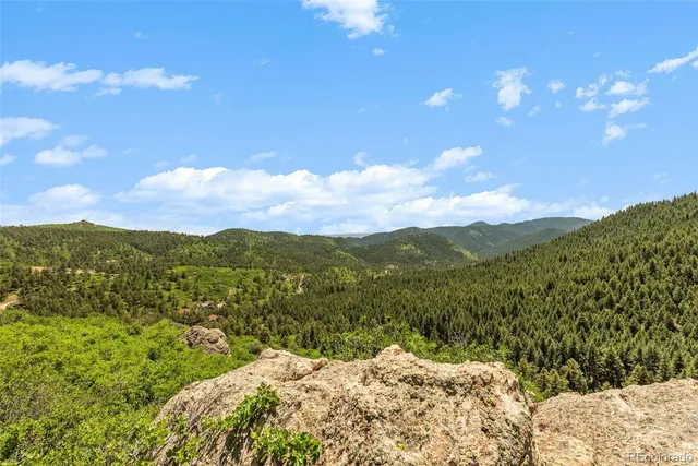 a view of a lush green forest with mountains in the background