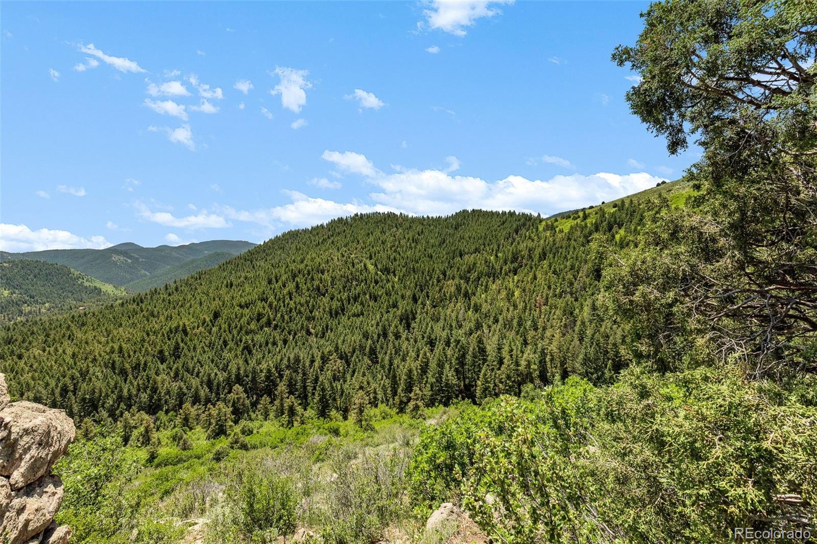 8529 South Deer Creek Canyon Road Morrison, CO 80465 - Photo 16 of 30 a view of a lush green forest with mountains in the background