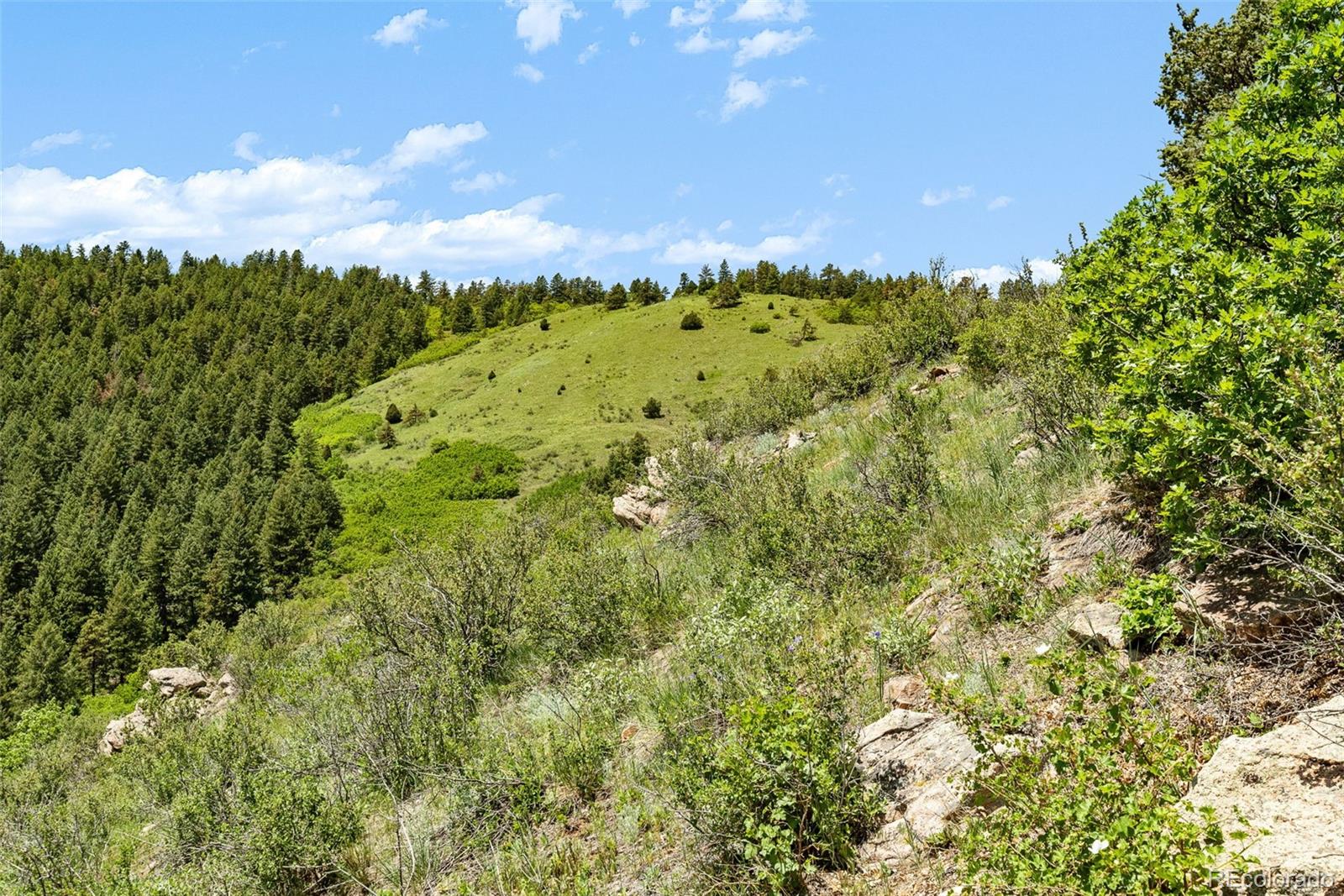 8529 South Deer Creek Canyon Road Morrison, CO 80465 - Photo 17 of 30 a view of a big yard with lots of bushes