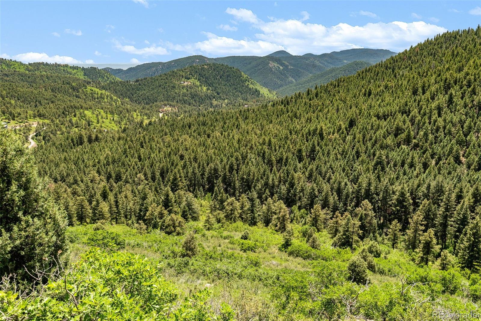 8529 South Deer Creek Canyon Road Morrison, CO 80465 - Photo 19 of 30 a view of a lush green forest with a mountain