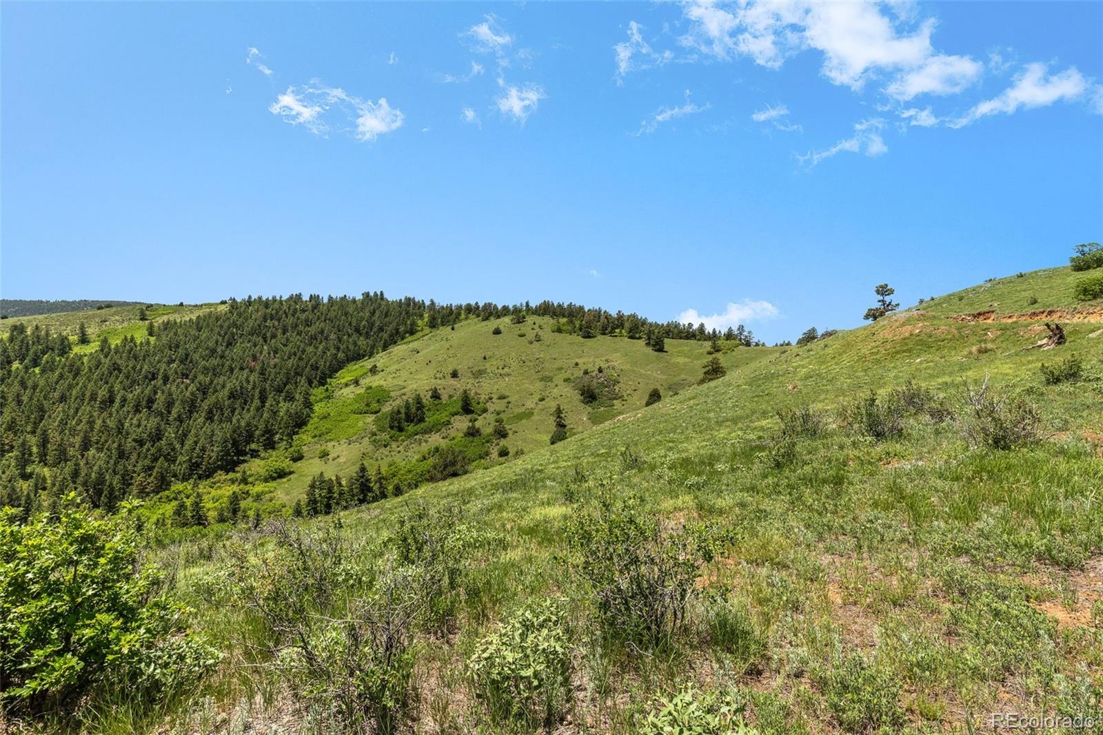 8529 South Deer Creek Canyon Road Morrison, CO 80465 - Photo 20 of 30