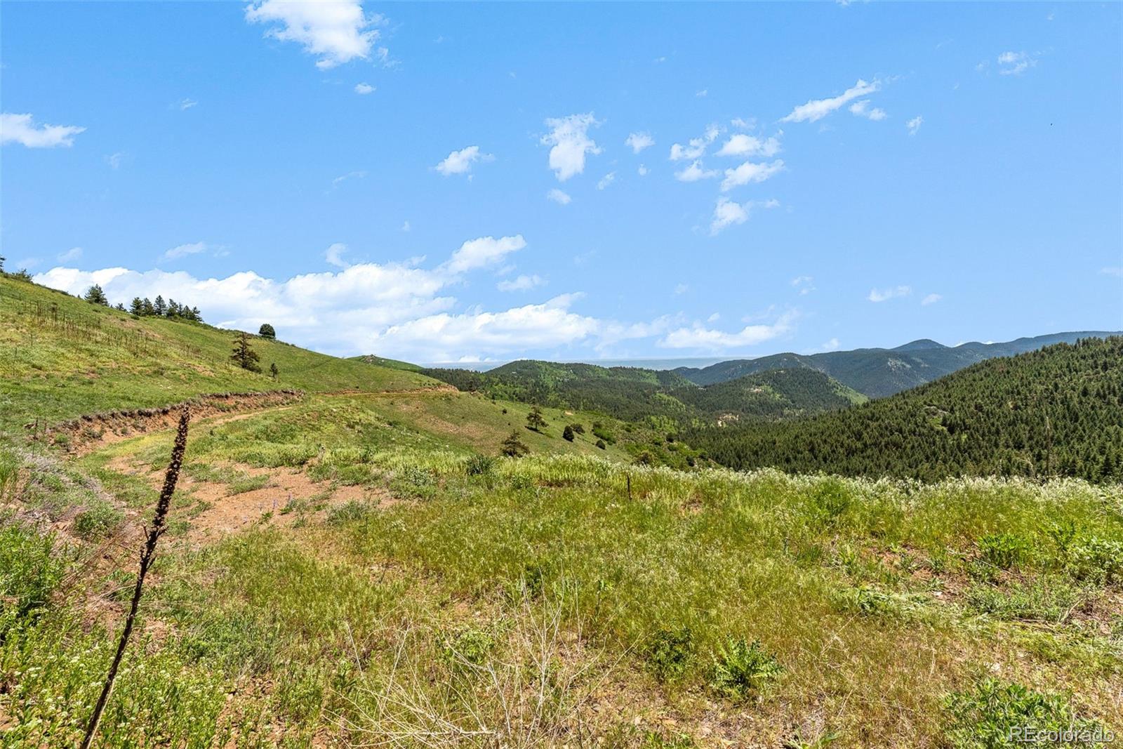8529 South Deer Creek Canyon Road Morrison, CO 80465 - Photo 21 of 30 a view of a city