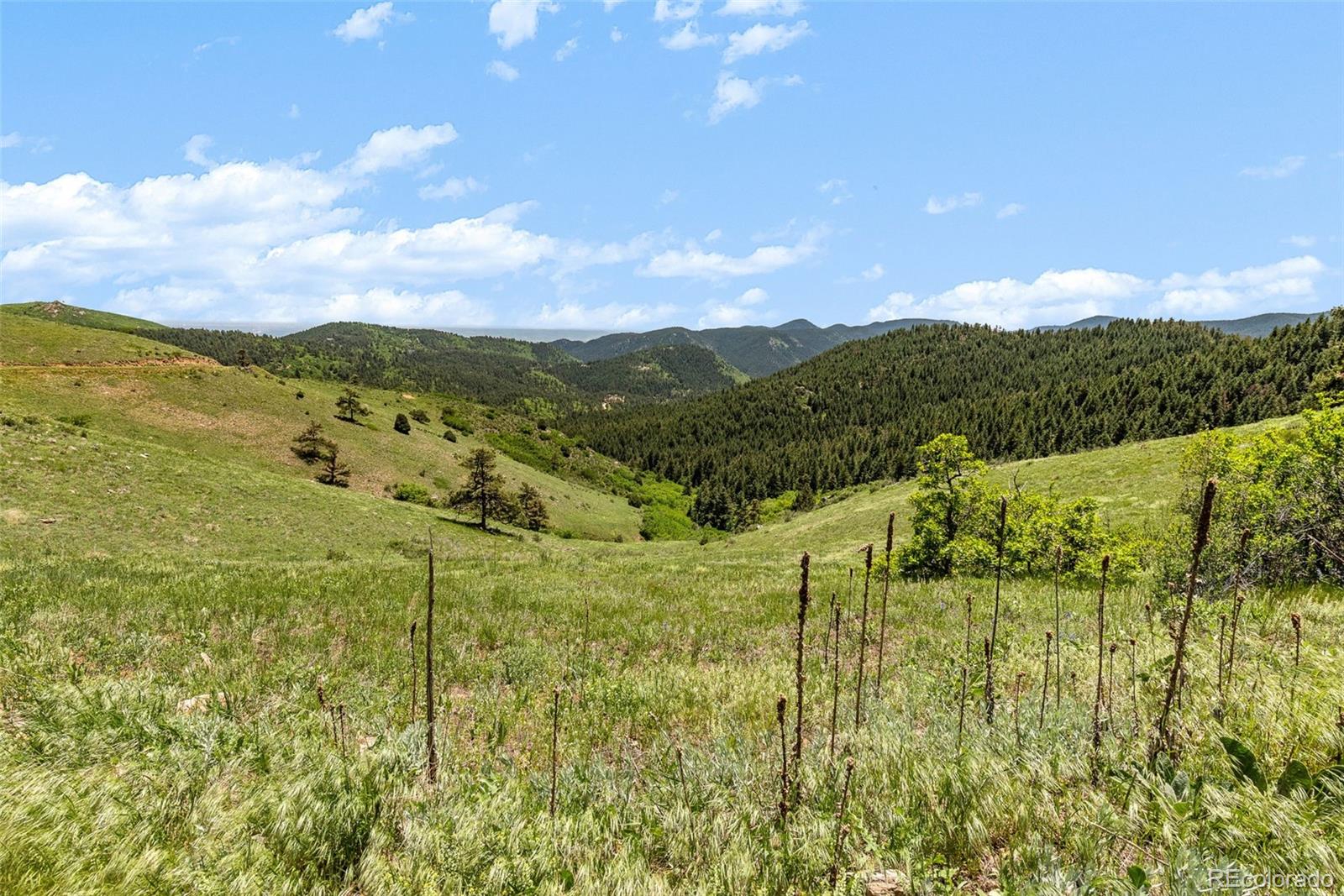 8529 South Deer Creek Canyon Road Morrison, CO 80465 - Photo 22 of 30 a view of an lake and mountain
