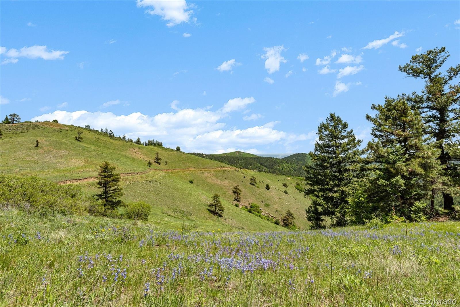 8529 South Deer Creek Canyon Road Morrison, CO 80465 - Photo 23 of 30 a view of an outdoor space and mountain view