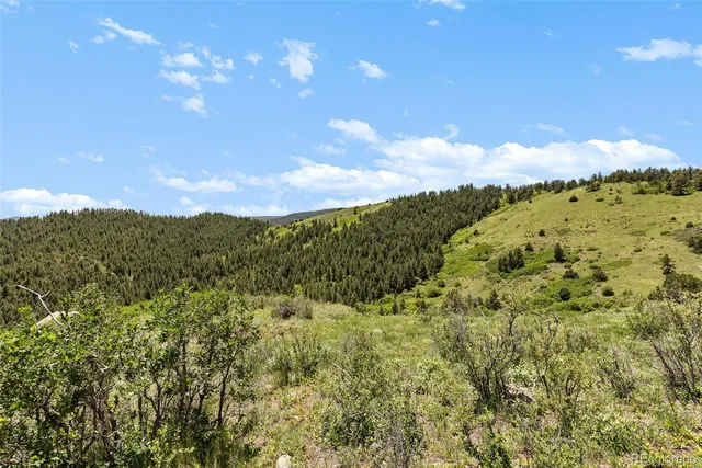 $1,500,000 | 8529 South Deer Creek Canyon Road, Morrison, CO 80465