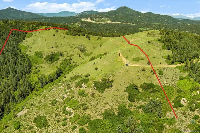 a view of a field with a mountain in the background