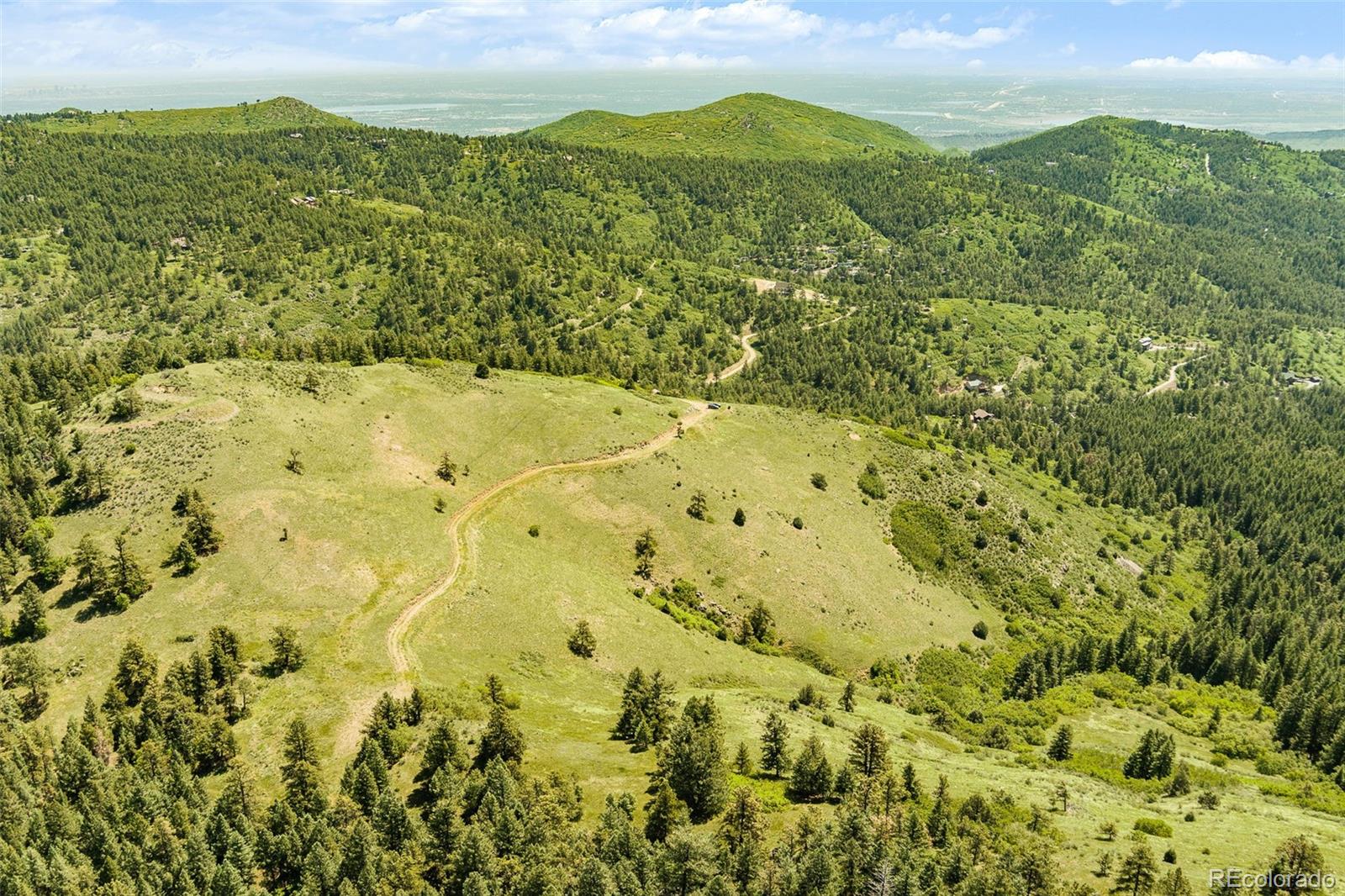 8529 South Deer Creek Canyon Road Morrison, CO 80465 - Photo 6 of 30 a view of a field with a mountain in the background
