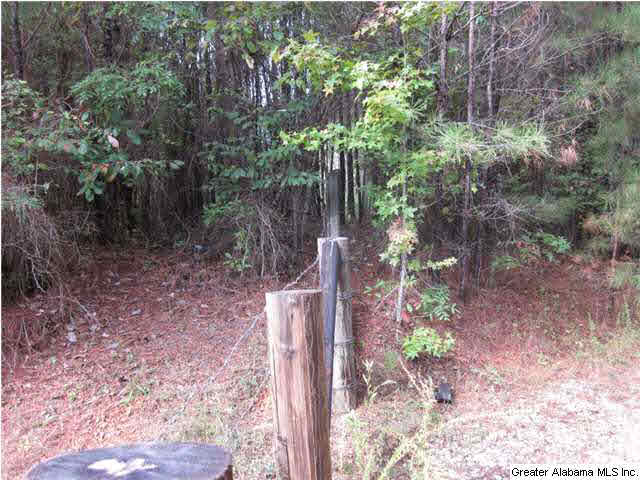 191 County Road 149 Calera, AL 35040 - Photo 4 of 7