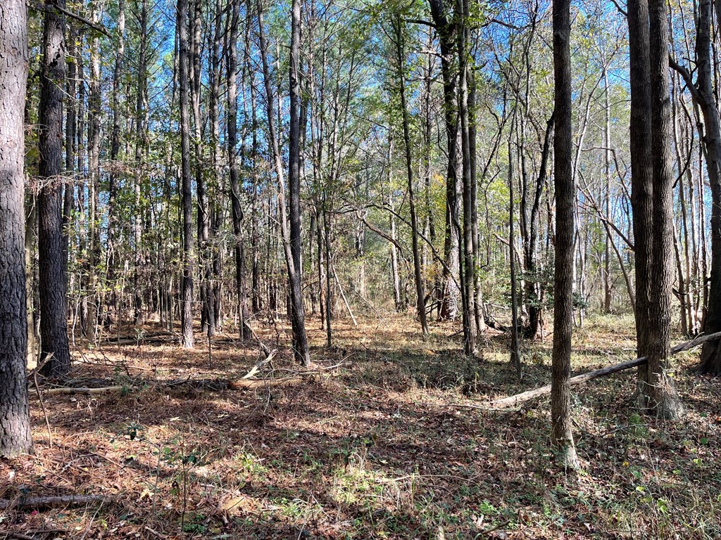 8-acres Redwood Road Onancock, VA 23417 - Photo 25 of 28