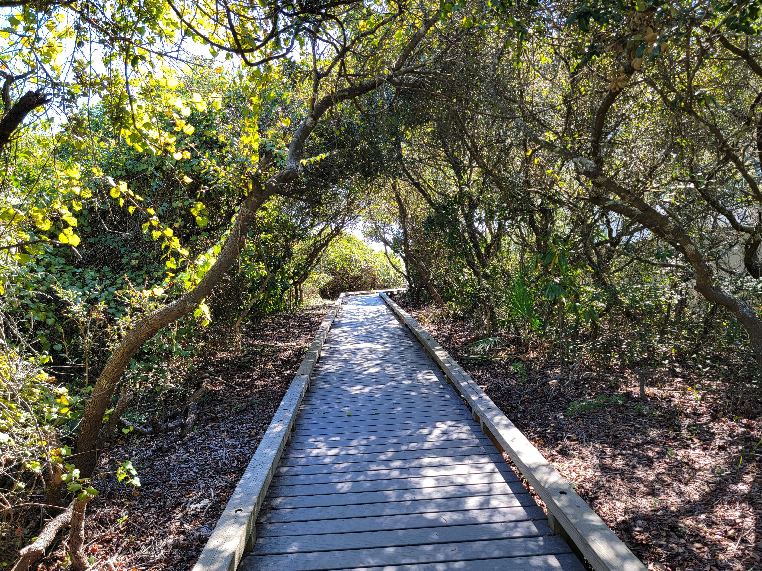 3567 East County Highway 30A Santa Rosa Beach, FL 32459 - Photo 29 of 31 a backyard of a house with lots of green space