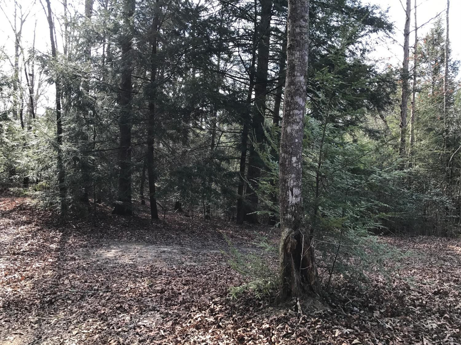 111 Hightop Road Corbin, KY 40701 - Photo 2 of 5 Photo 2