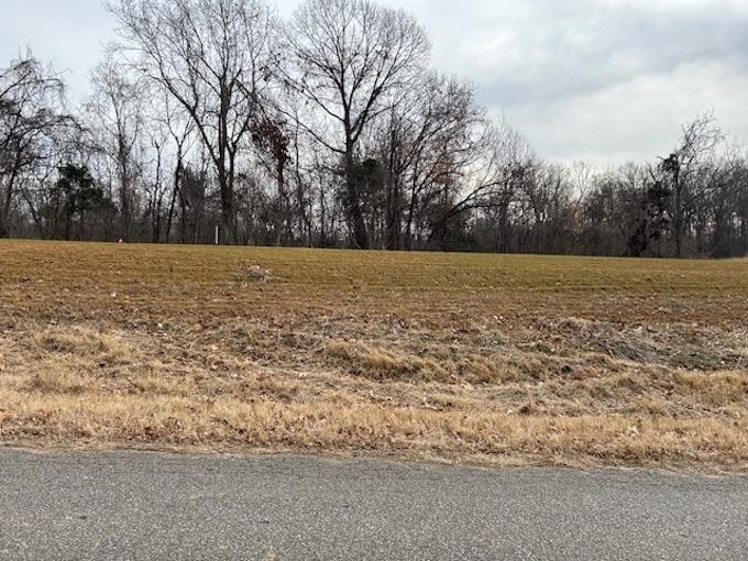 Lot #6 Joe Barfield Road Henning, TN 38041 - Photo 3 of 3 a view of outdoor space