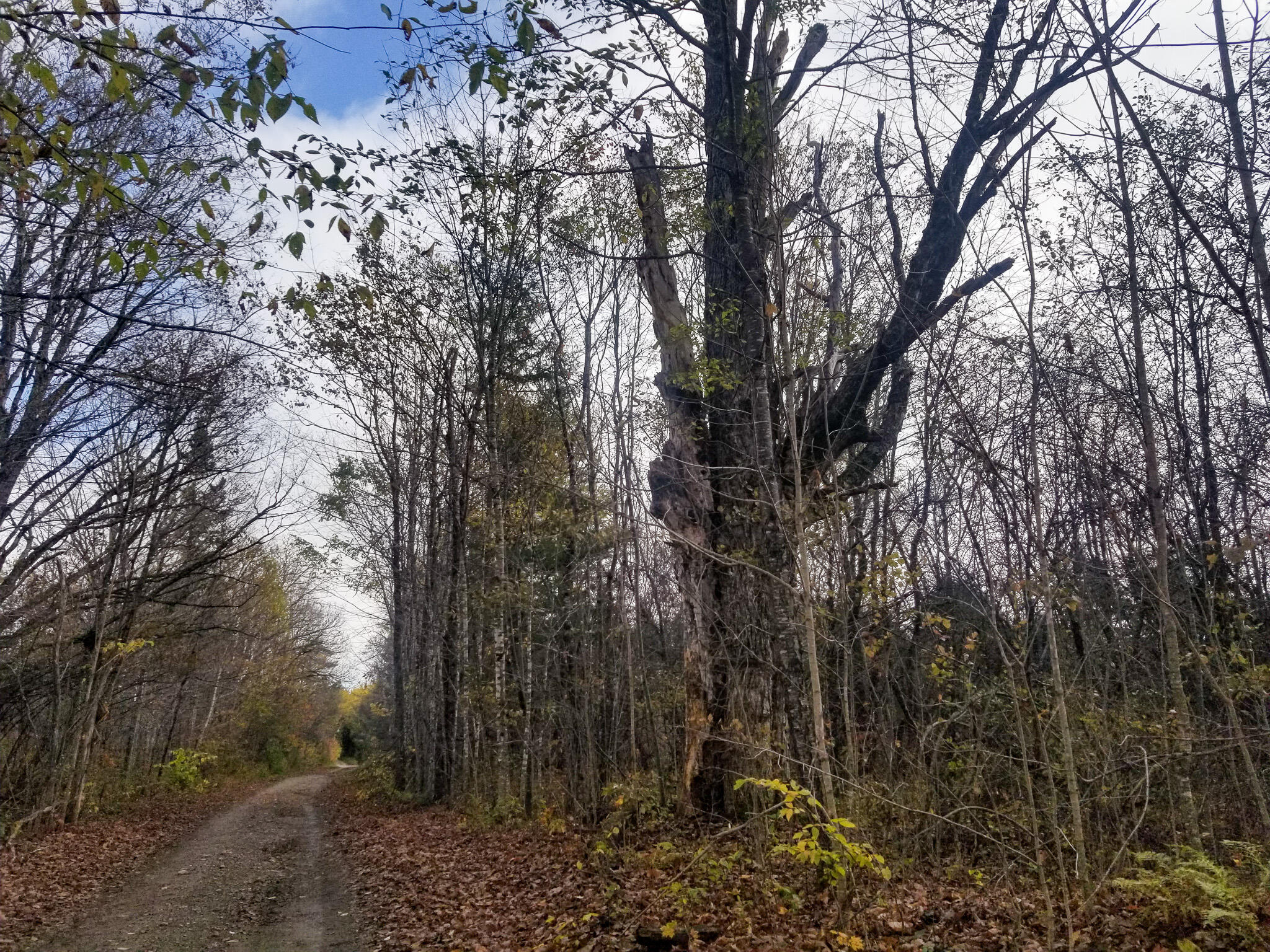 840 Old Winn Road Springfield, ME 04487 - Photo 29 of 35 29