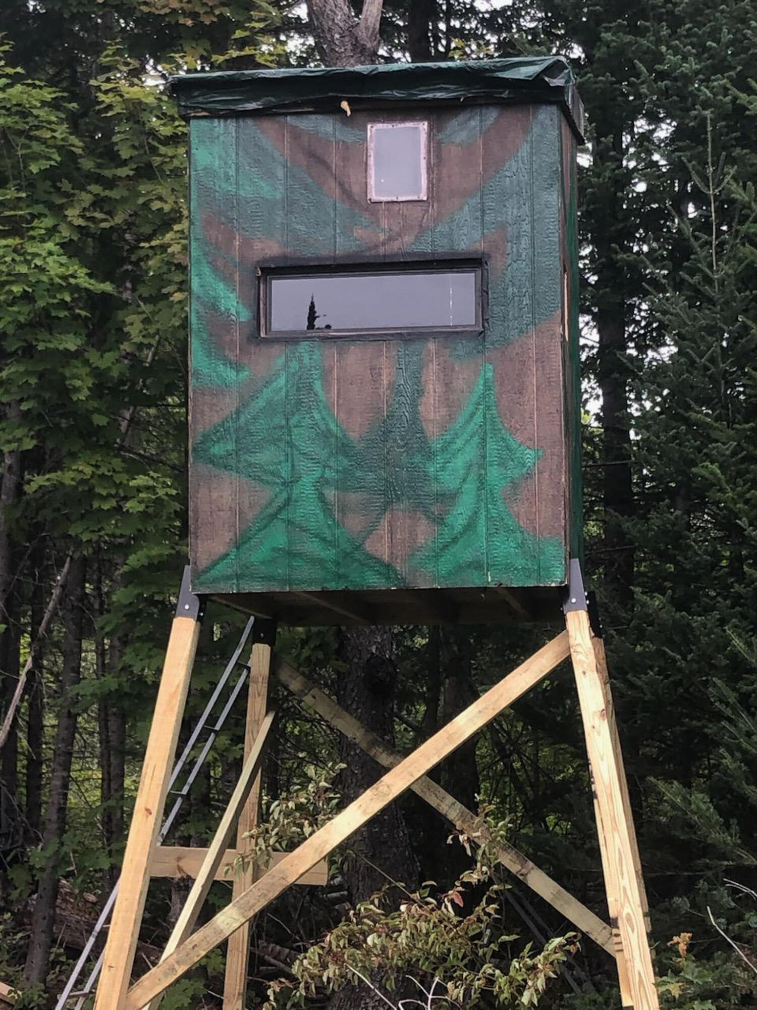 840 Old Winn Road Springfield, ME 04487 - Photo 31 of 35 31